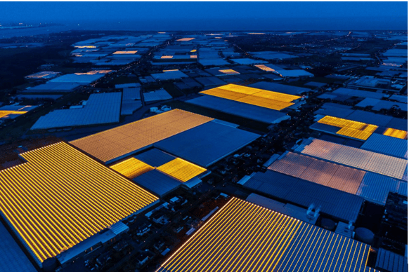 Agriculture in the Netherlands