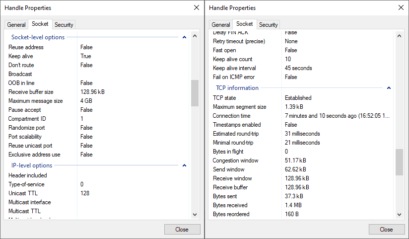 Figure: Socket options displayed in System Informer.