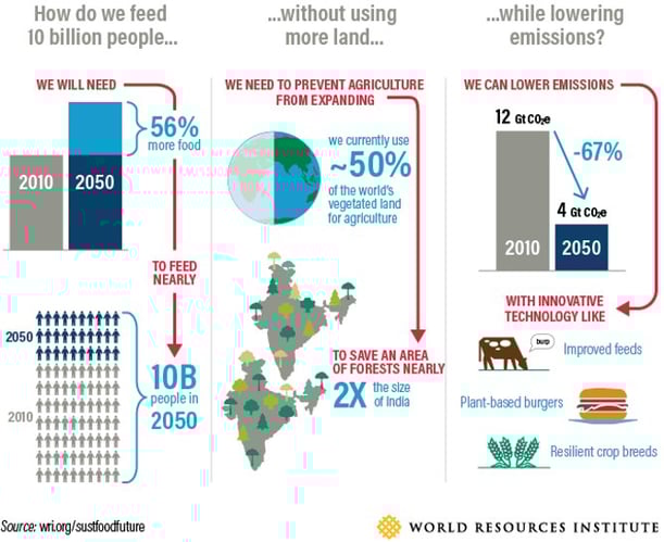 The challenges for the global agriculture industry