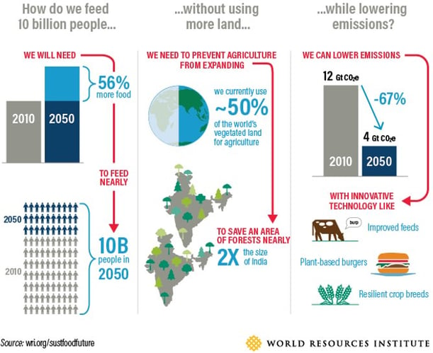 The challenges for the global agricultural industry